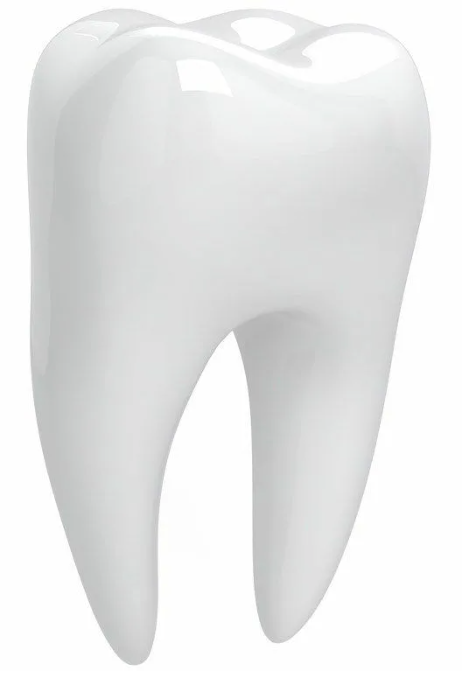 2026-08-26_170336.png